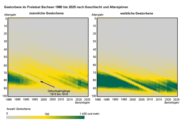 Die Abbildung des Typ Heatmap stellt die Anzahl der Gestorbenen im Alter von 0 bis 100 Jahren für den Betrachtungszeitraum 1980 bis 2025 dar und verdeutlicht die geschlechtsspezifischen Unterschiede.